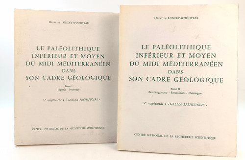 Paléolithique inférieur - palÉolithique,